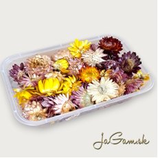 Mix sušených kvetov pre tvorenie (DS029)